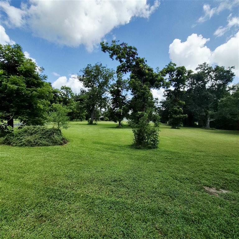 1009 Sara Street — photo 4
