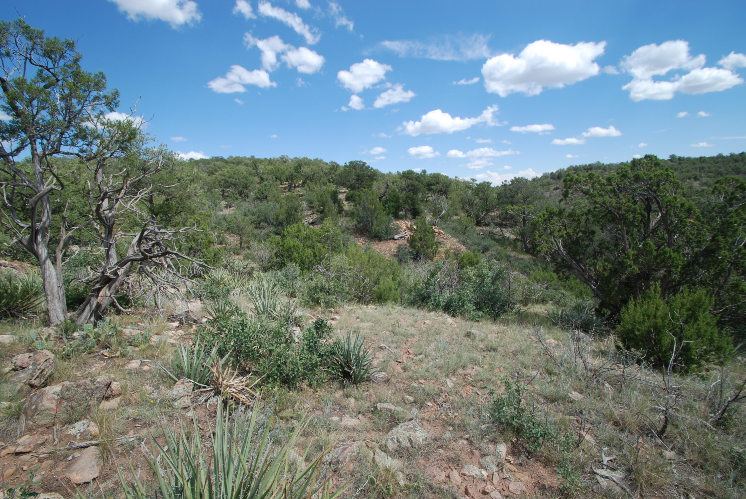 Homes for sale in Sandia Park, NM | 9 Escondida, Sandia Park, NM 87047 | MLS# 1088825