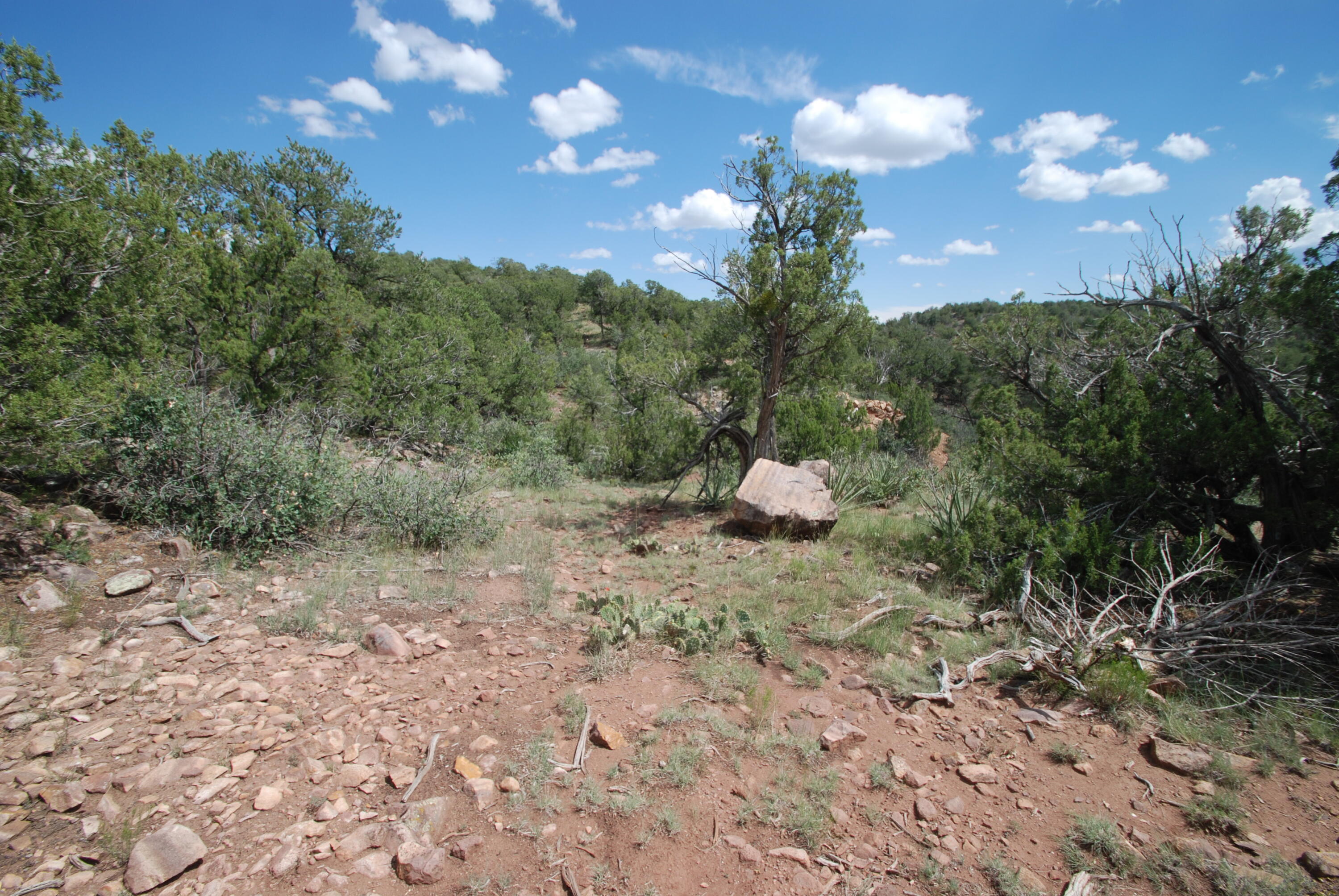Homes for sale in Sandia Park, NM | 9 Escondida, Sandia Park, NM 87047 | MLS# 1088825