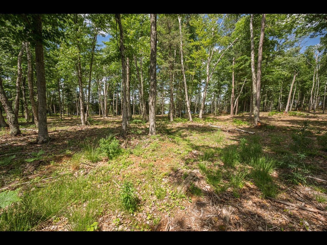 Clearwater Lake Property Lot 161 Clearwater Lake Tr Photo 5