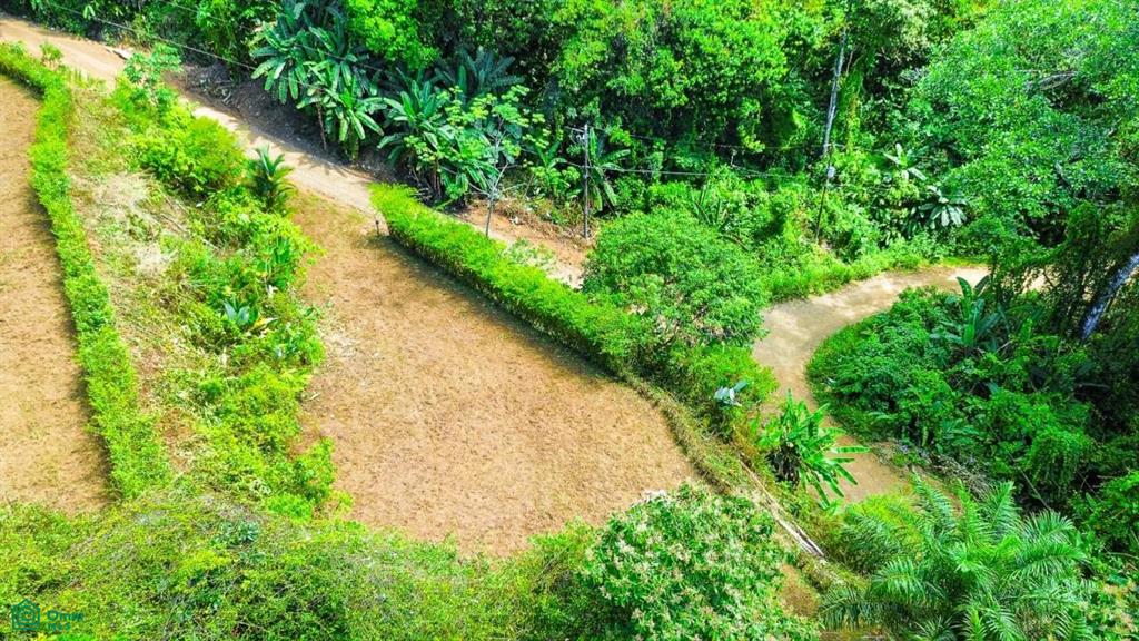 0 bed Land For Sale in Osa, Puntarenas - 1