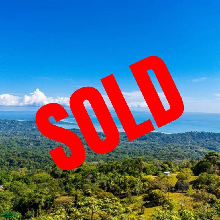 0 bed Land For Sale in Osa, Puntarenas - 1