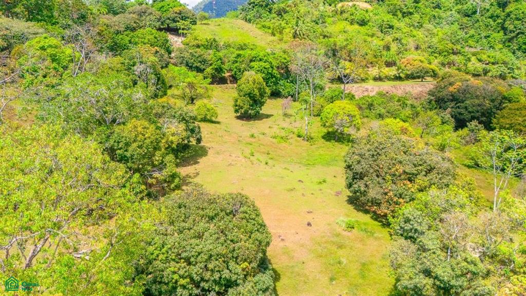 0 bed Land For Sale in Osa, Puntarenas - 1