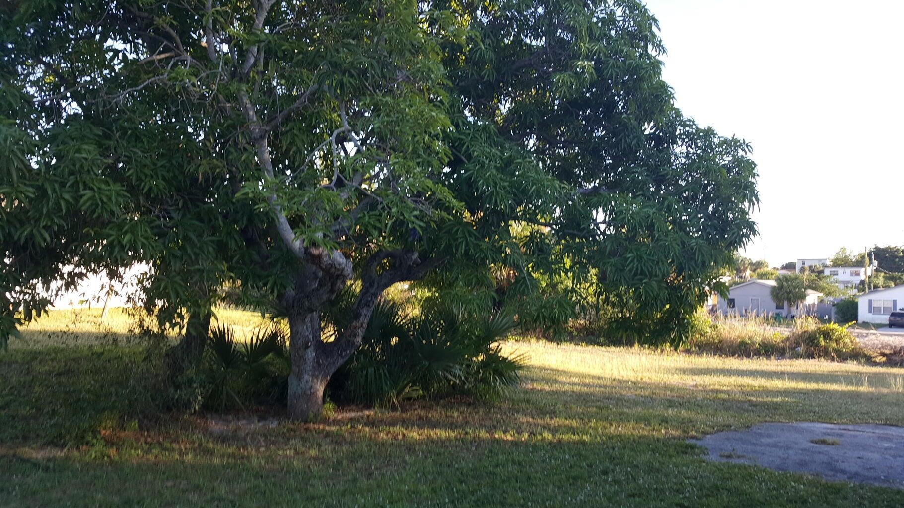 Homes for sale in Riviera Beach, FL | 1233 Ac Evans Street #1, Riviera Beach, FL 33404 | MLS# R11112490