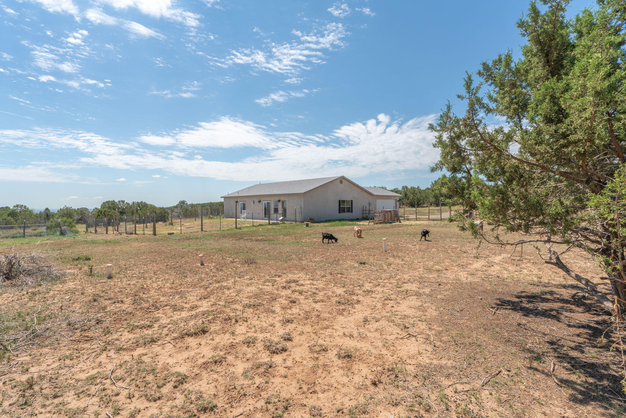 Homes for sale in Edgewood, NM | 7 Majec Ct, Edgewood, NM 87015 | MLS# 1088949