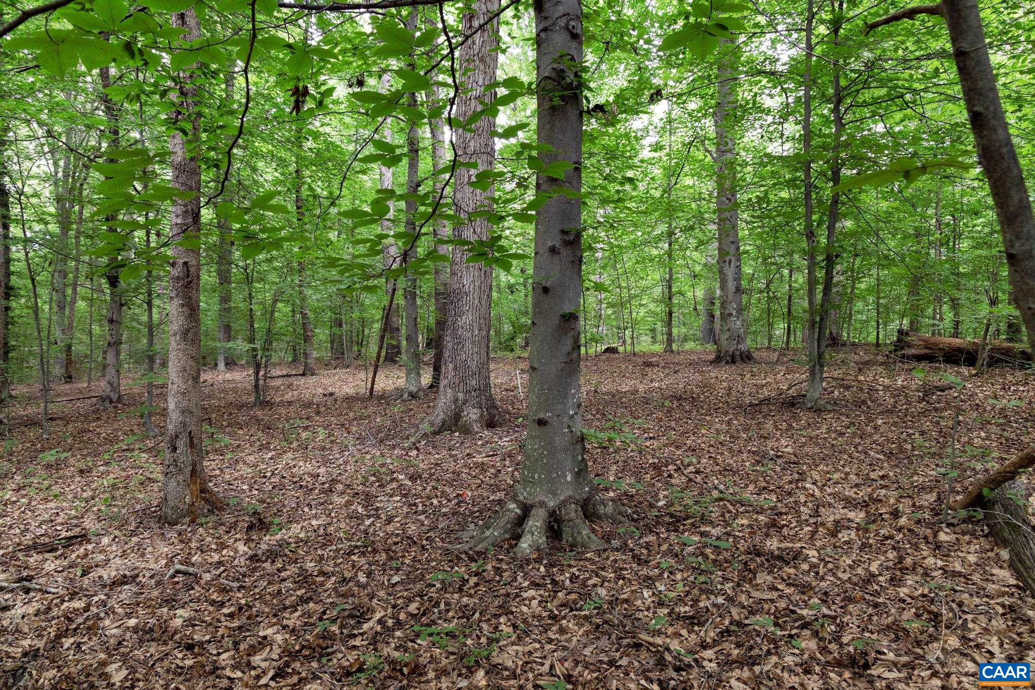Lot 68 Palmer Pl