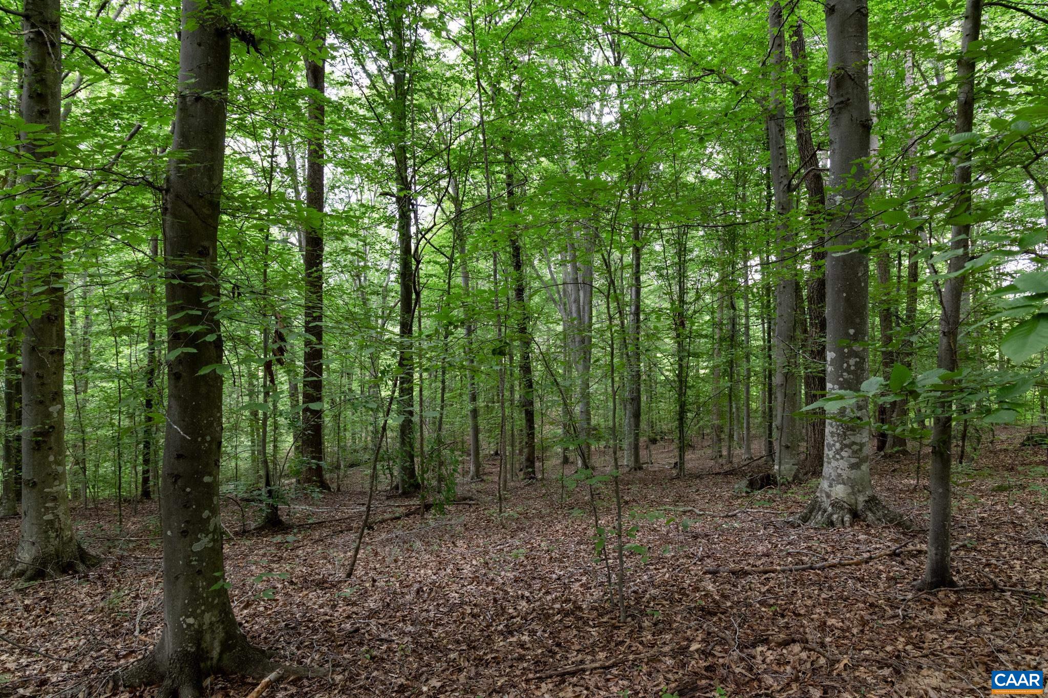 Lot 68 Palmer Pl