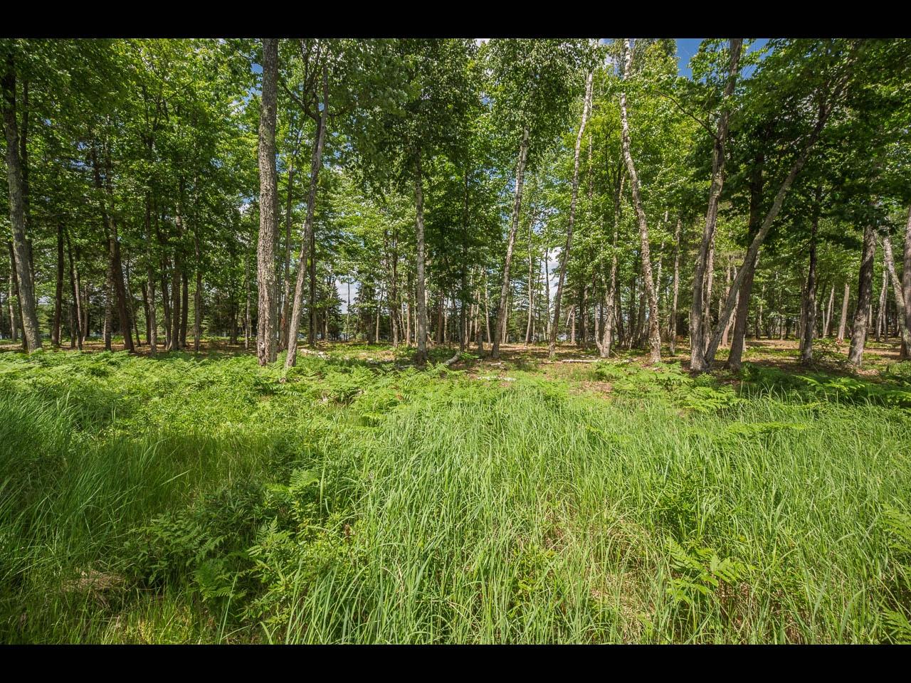 Clearwater Lake Property Lot 162 Clearwater Lake Tr Photo 3