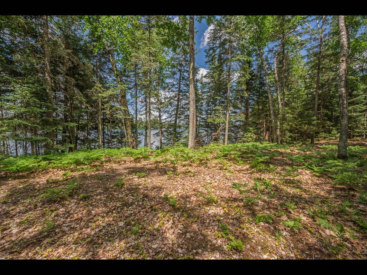 Clearwater Lake Property Lot 162 Clearwater Lake Tr Photo 8