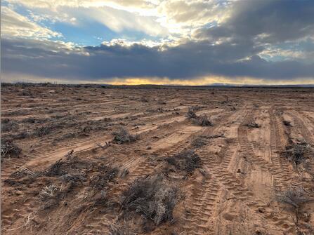 Homes for sale in Los Lunas, NM | Rodeo Dr, Los Lunas, NM 87031 | MLS# 1089021
