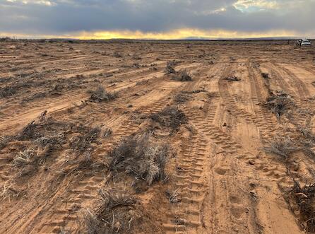 Homes for sale in Los Lunas, NM | Rodeo Dr, Los Lunas, NM 87031 | MLS# 1089021