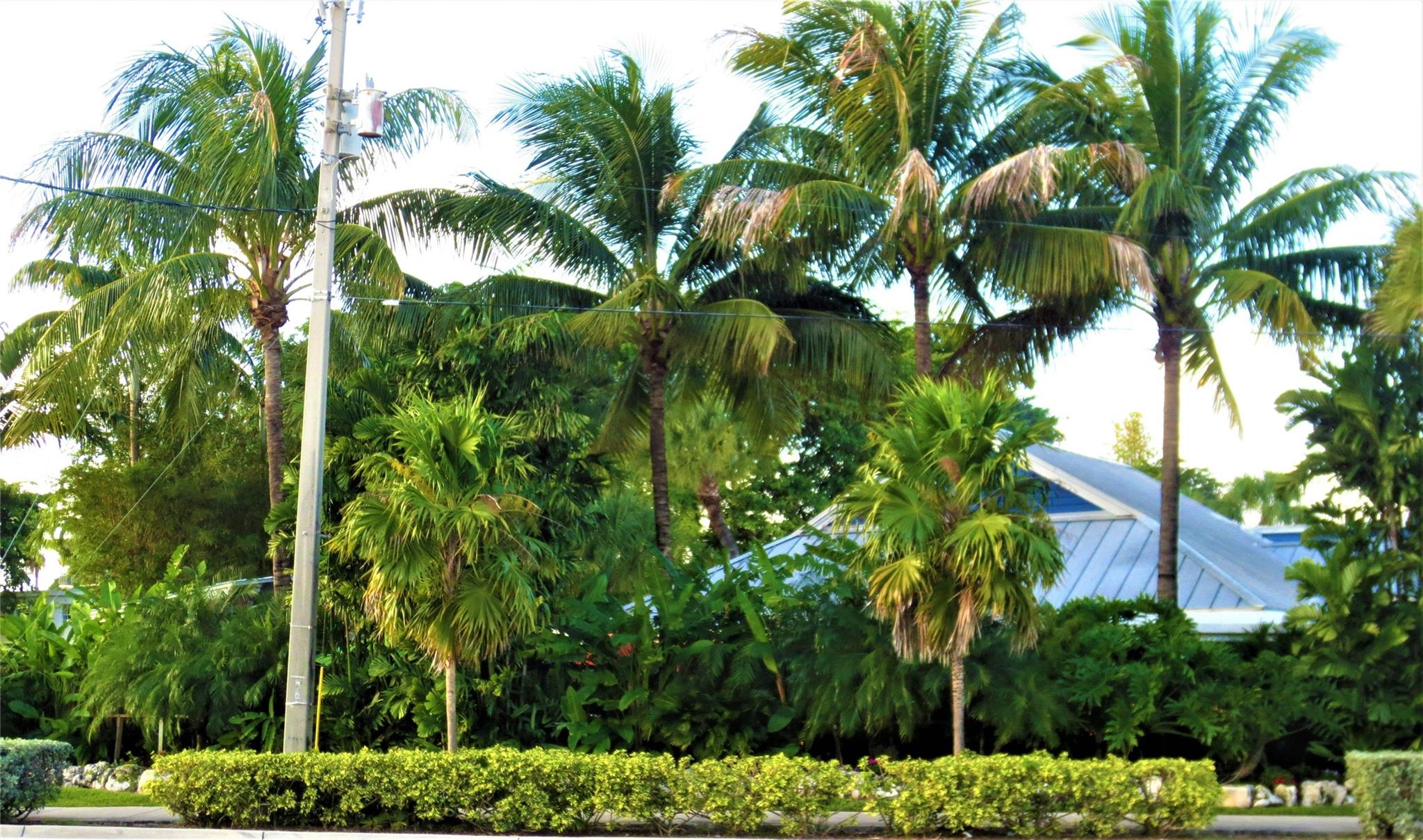 Homes for sale in Wilton Manors, FL | 2660 Ne 8th Ave #105, Wilton Manors, FL 33334 | MLS# F10518777