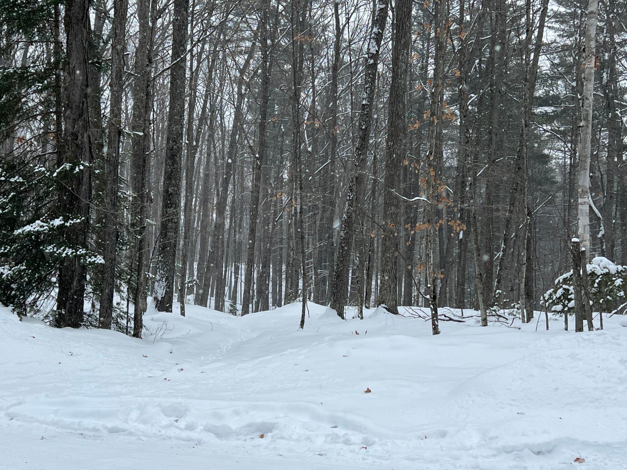 Undocumented Lake Property 8066 Blue Jay Ln Photo 59