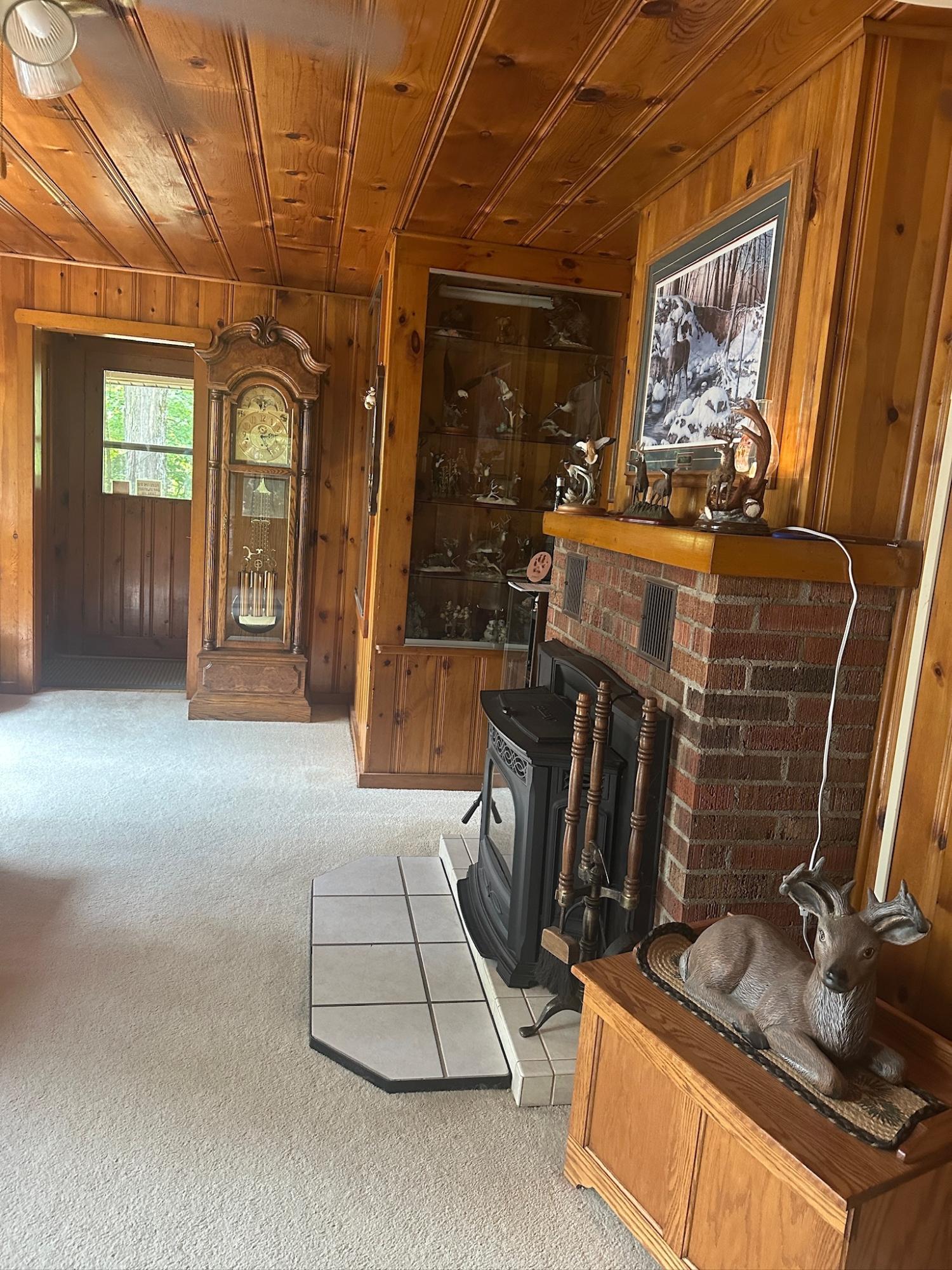 Undocumented Lake Property 8380 Harris Lake Rd E Photo 15