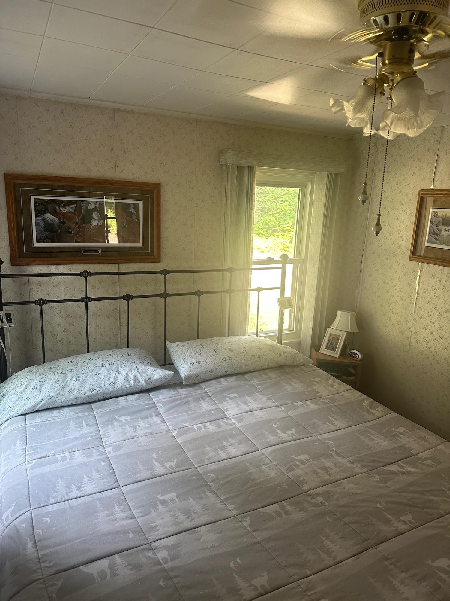 Undocumented Lake Property 8380 Harris Lake Rd E Photo 19