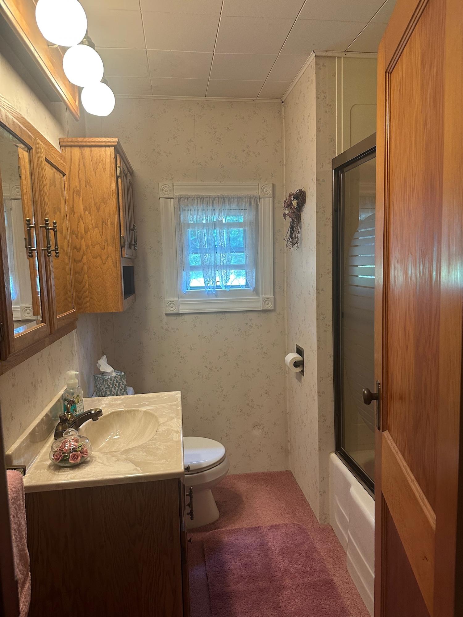 Undocumented Lake Property 8380 Harris Lake Rd E Photo 23