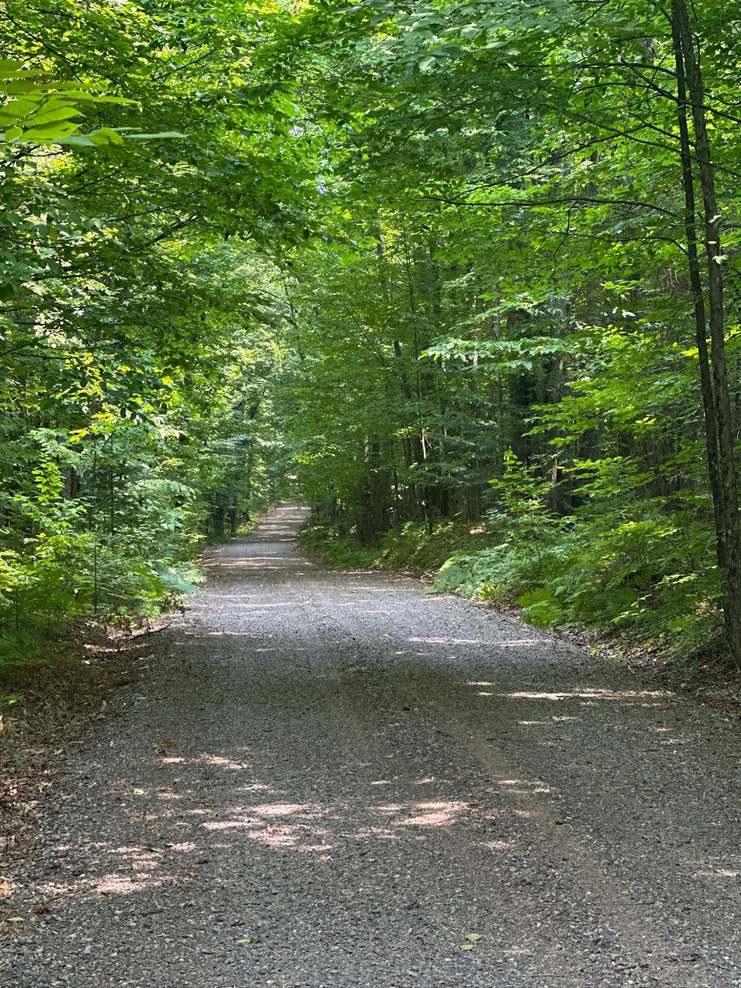 Undocumented Lake Property 8380 Harris Lake Rd E Photo 30