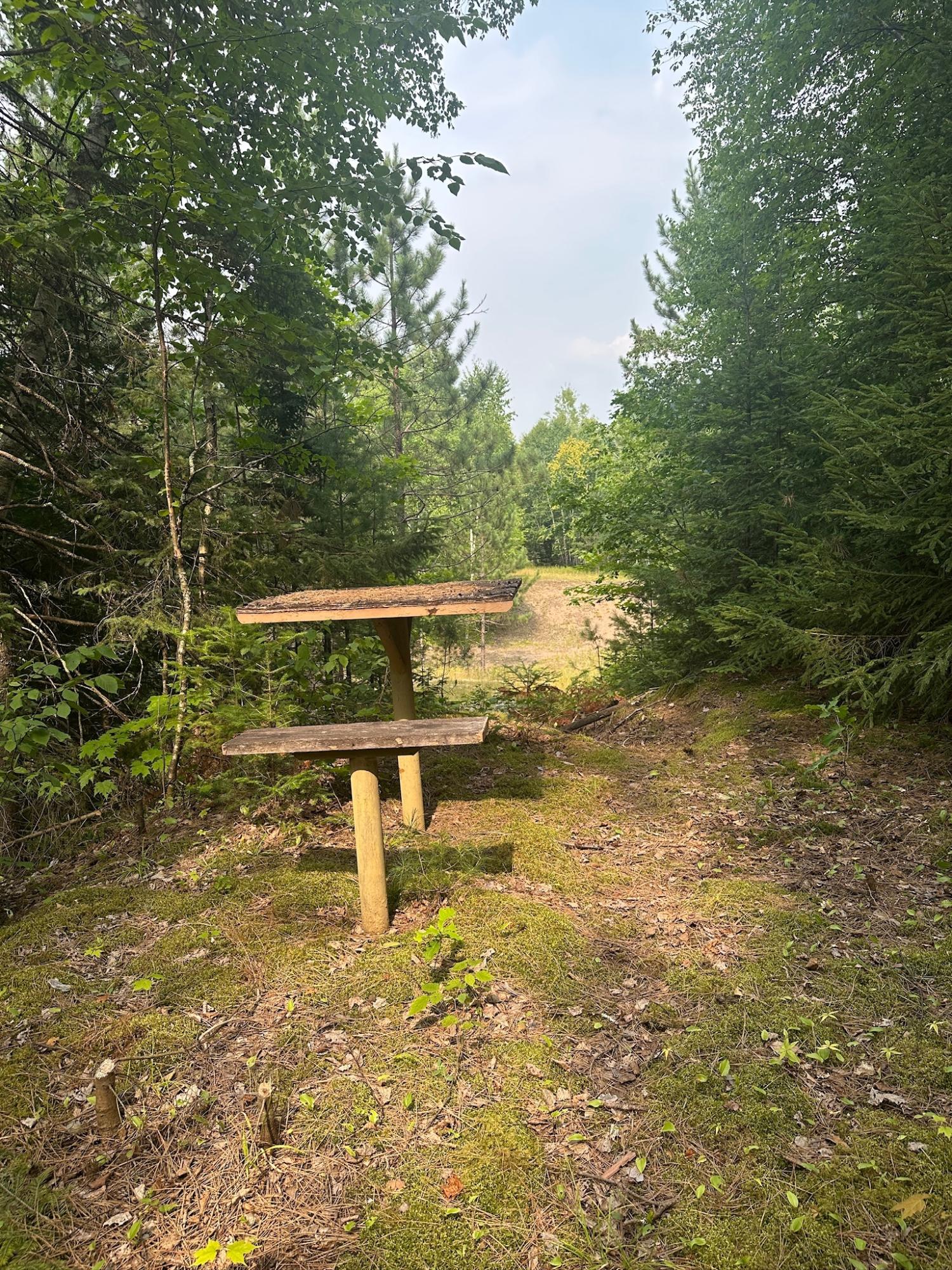 Undocumented Lake Property 8380 Harris Lake Rd E Photo 31