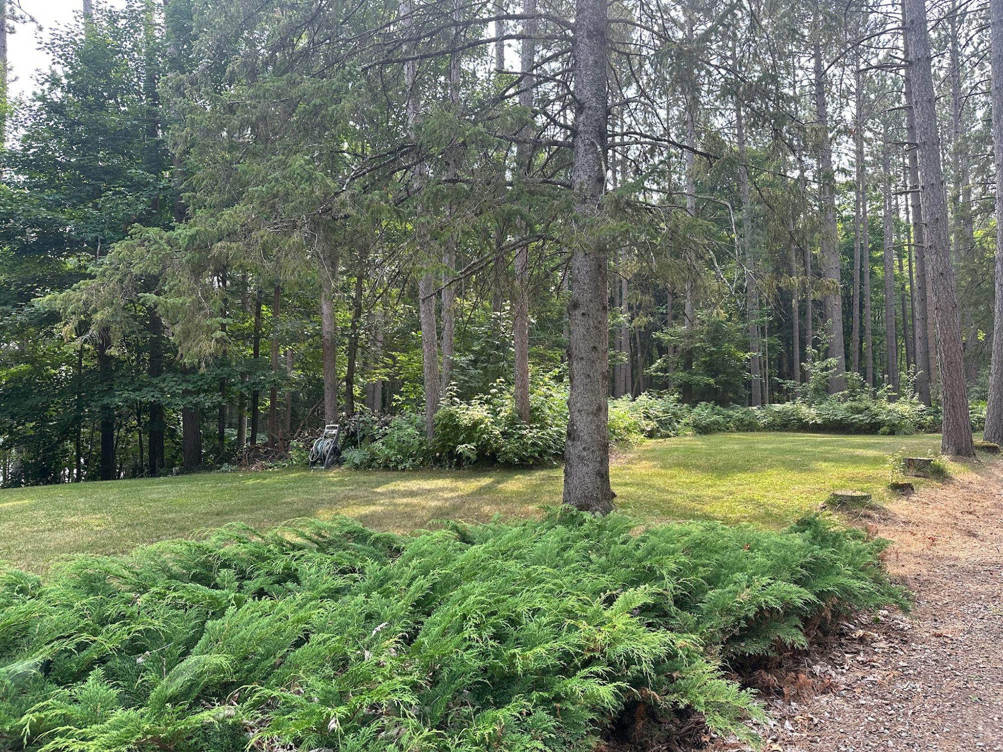 Undocumented Lake Property 8380 Harris Lake Rd E Photo 32