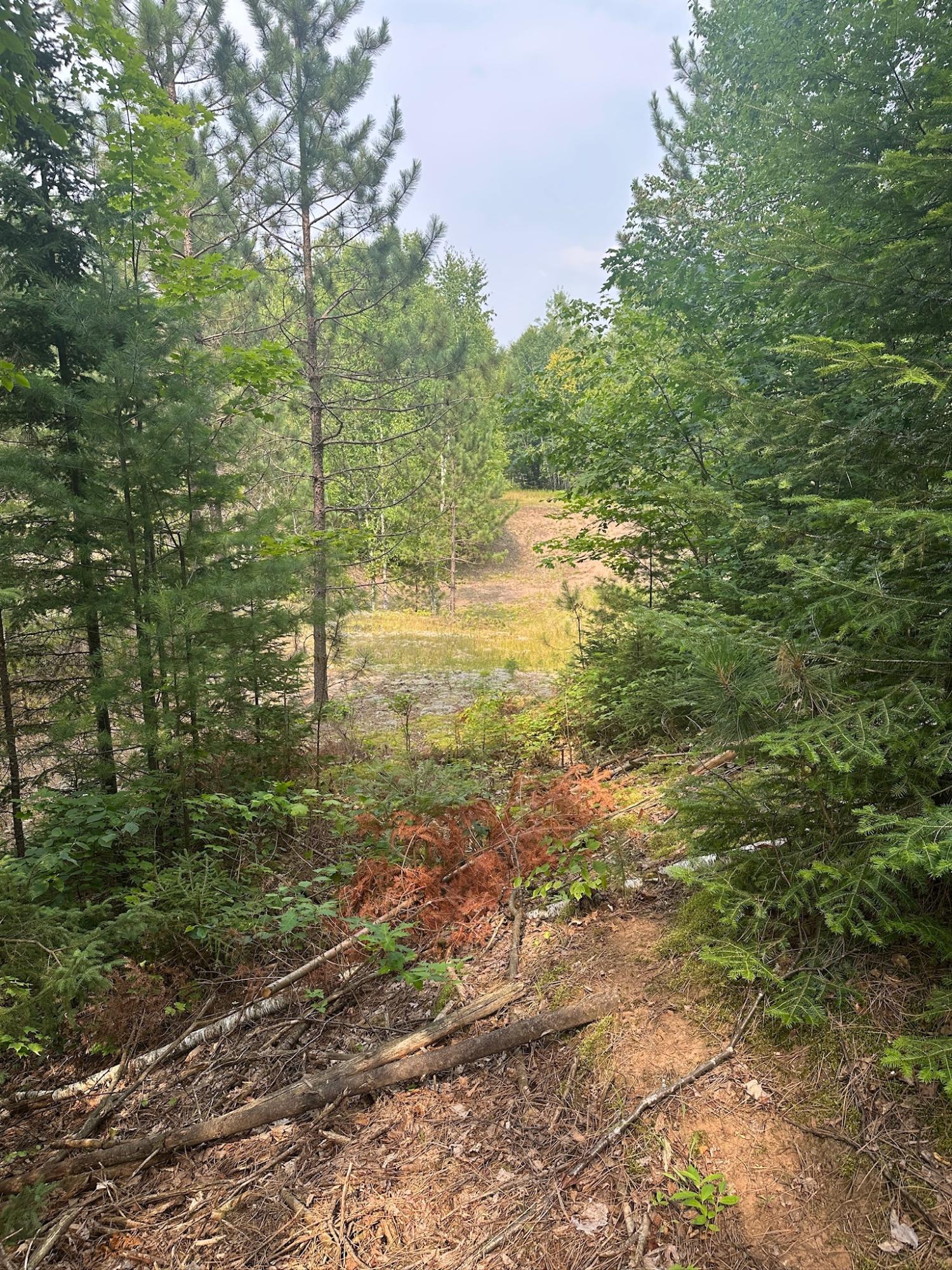 Undocumented Lake Property 8380 Harris Lake Rd E Photo 33