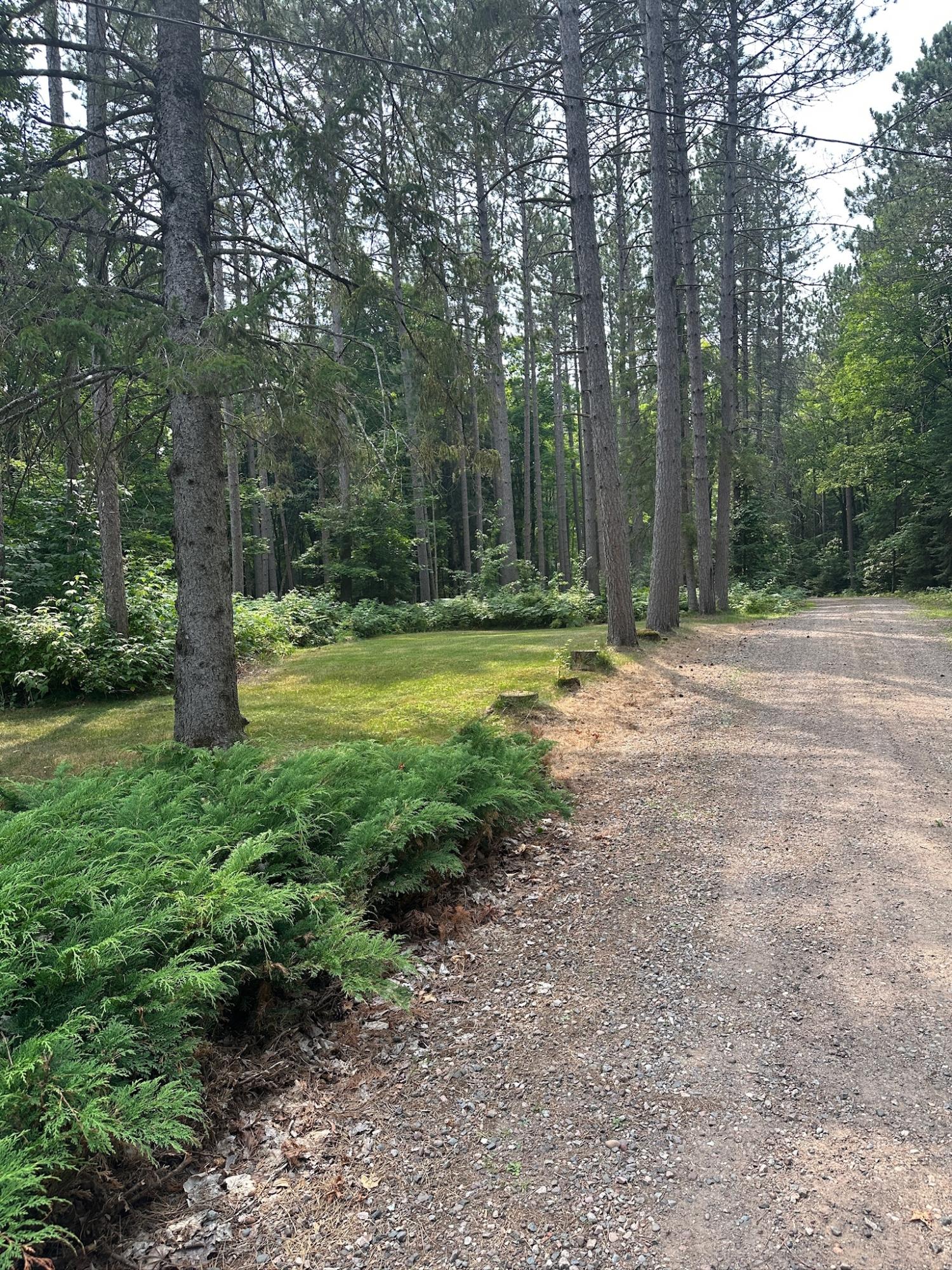 Undocumented Lake Property 8380 Harris Lake Rd E Photo 34