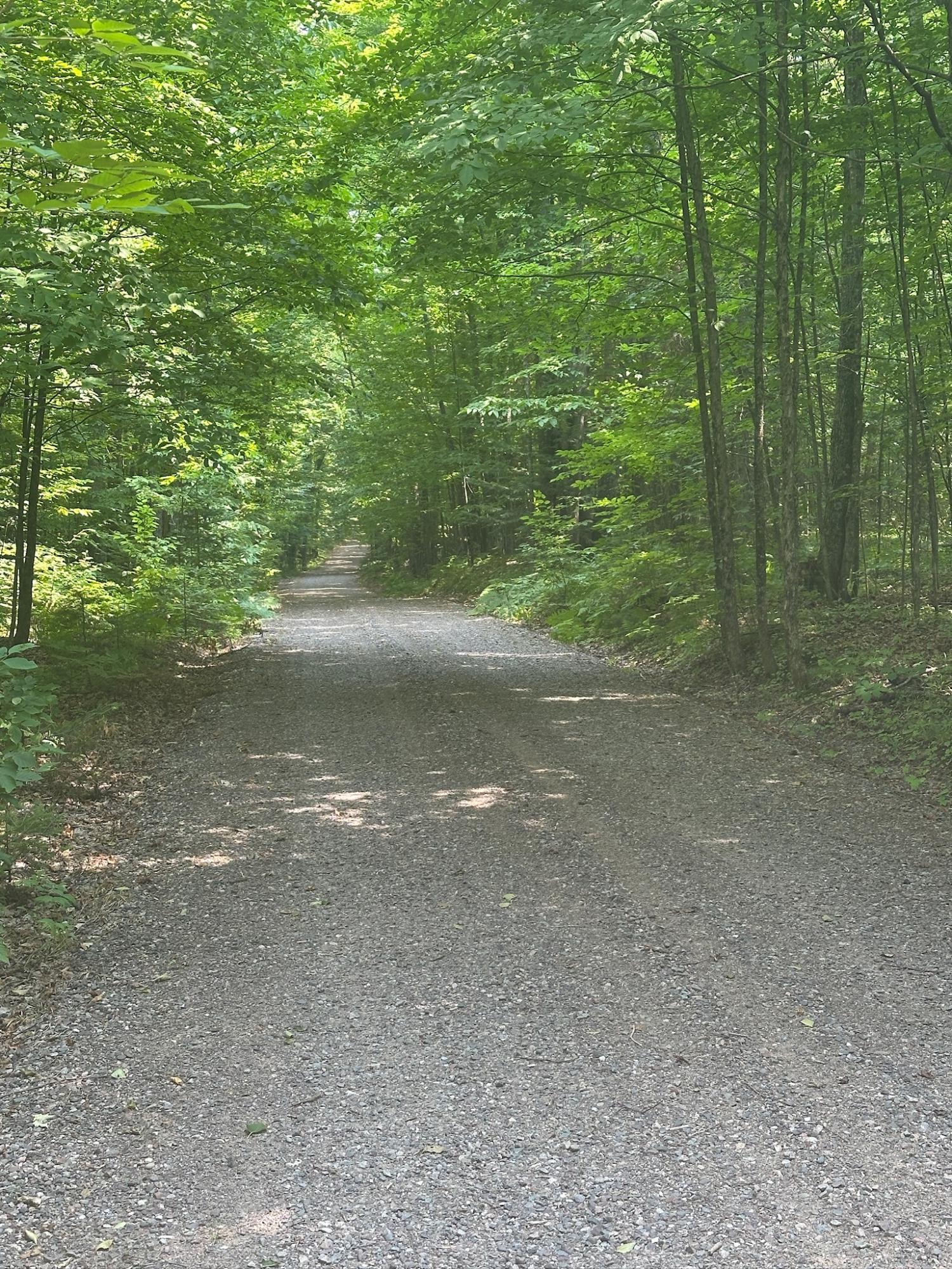 Undocumented Lake Property 8380 Harris Lake Rd E Photo 35