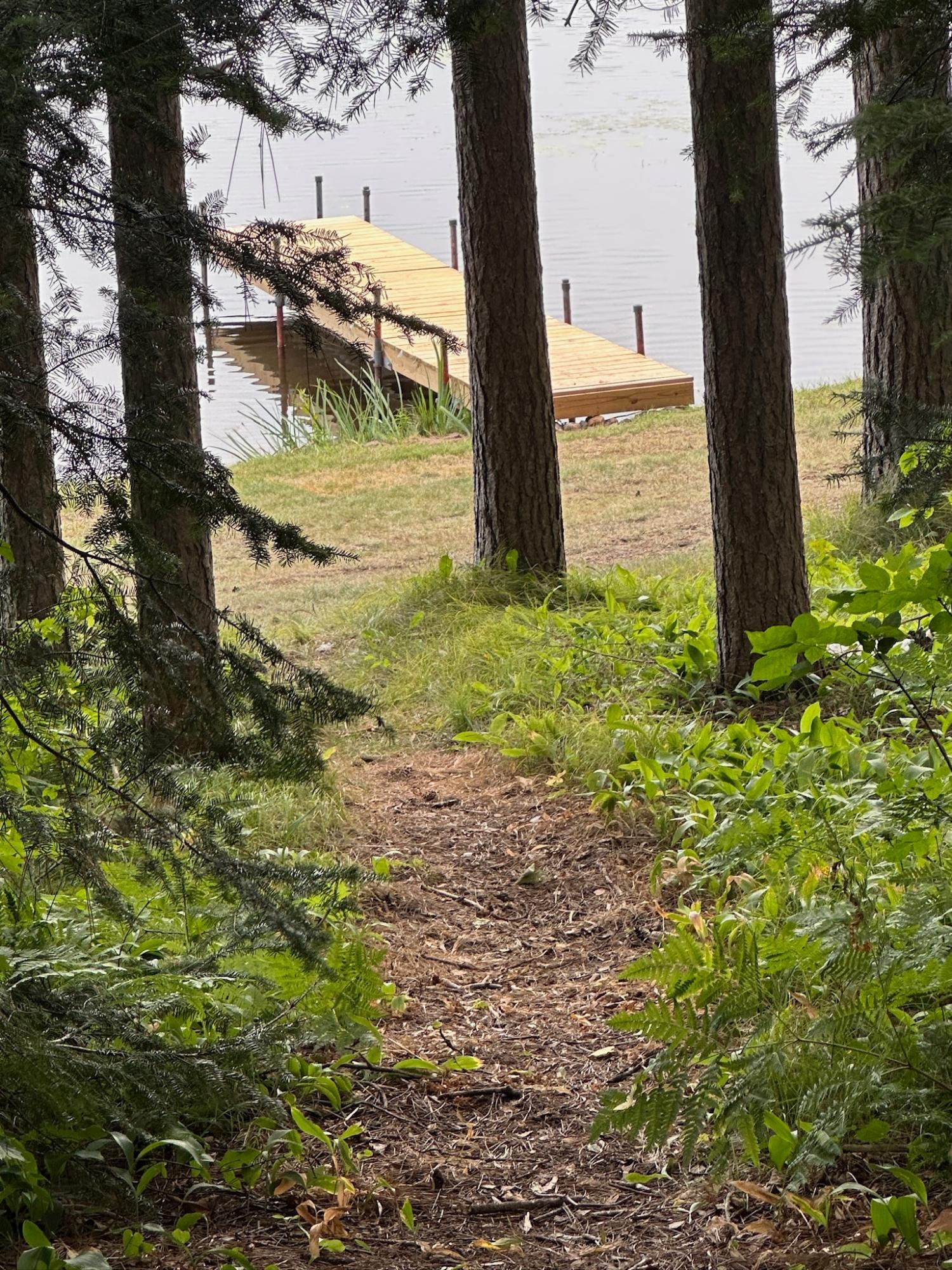 Undocumented Lake Property 8380 Harris Lake Rd E Photo 37