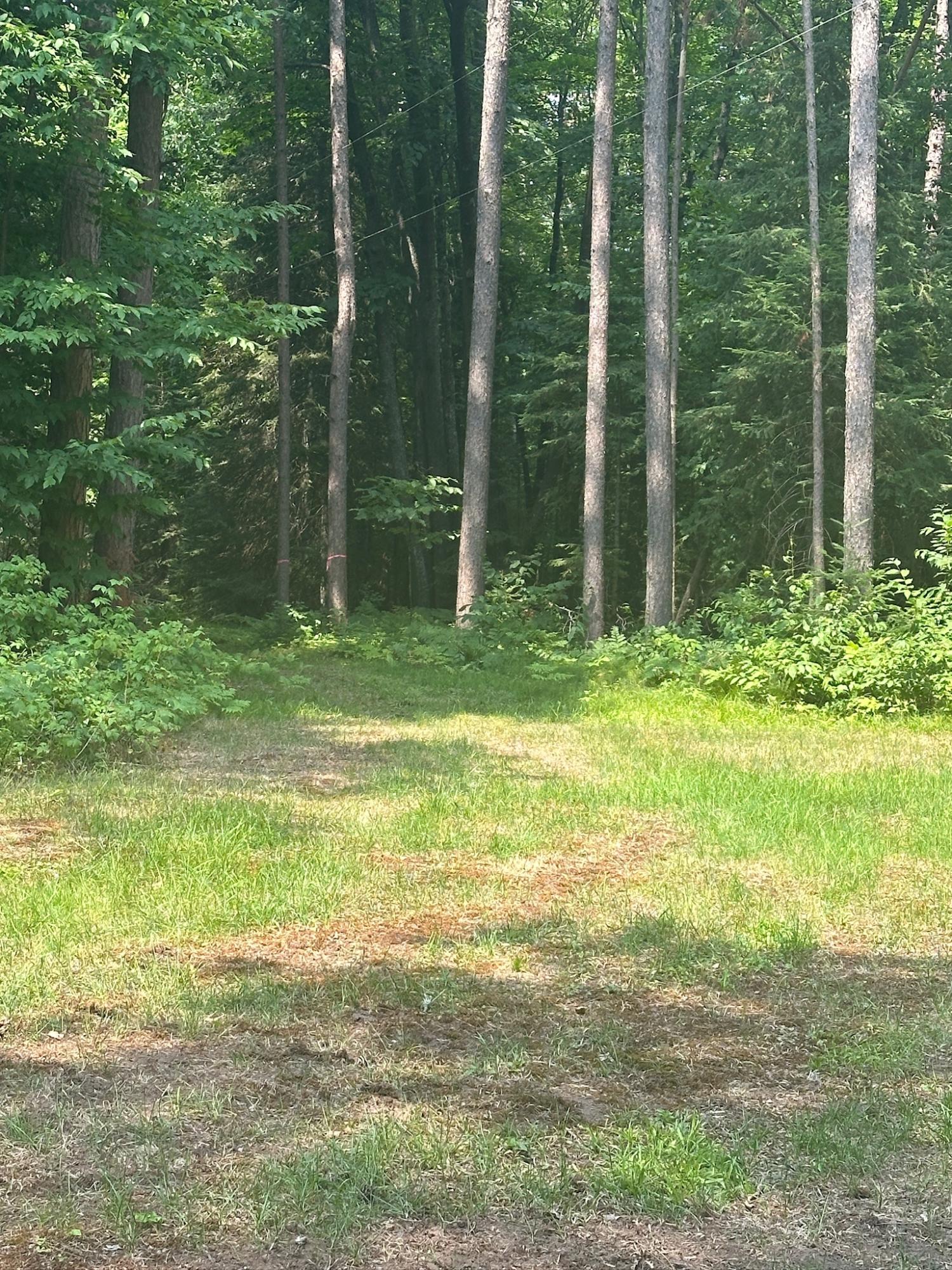 Undocumented Lake Property 8380 Harris Lake Rd E Photo 41