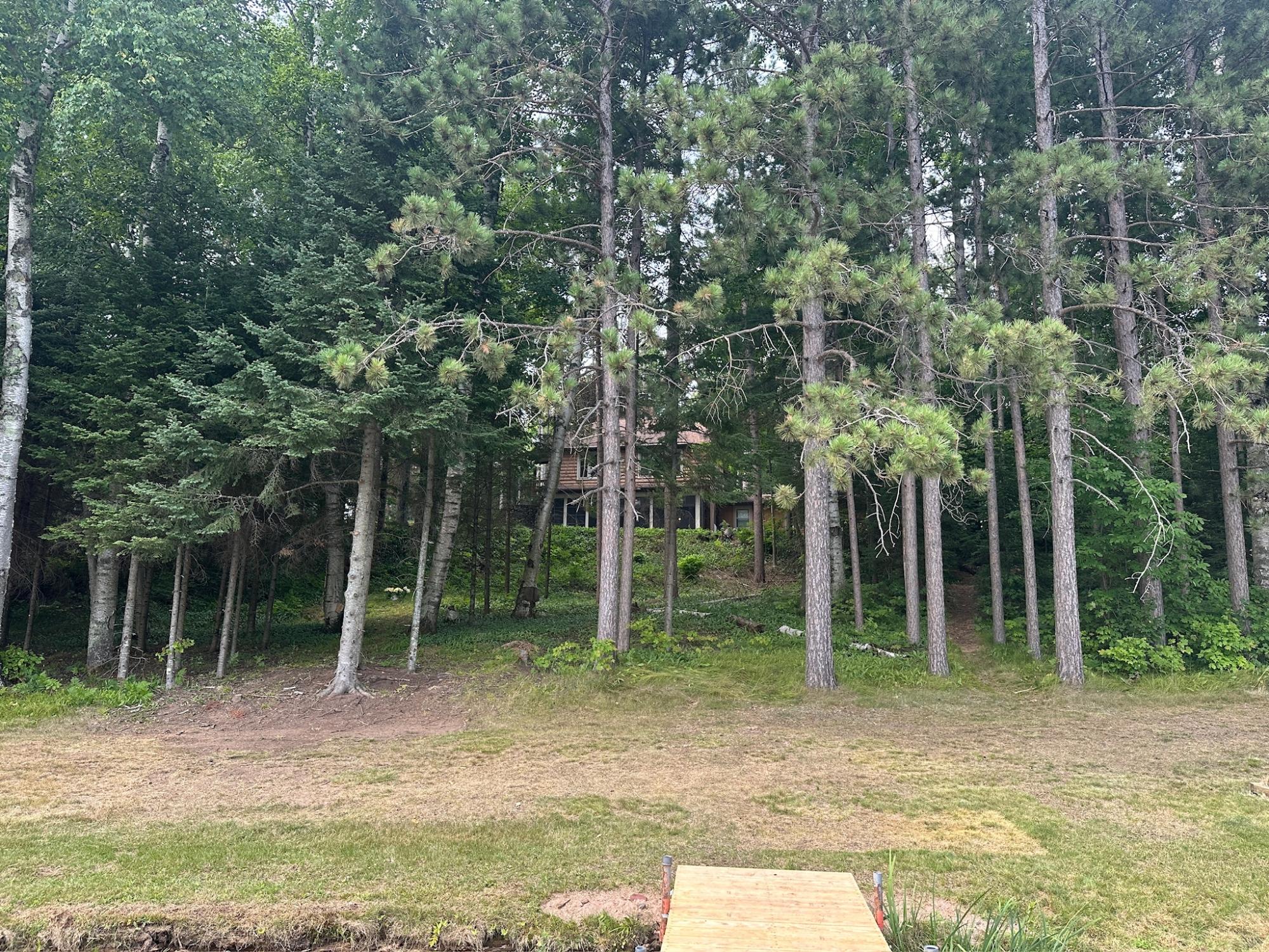 Undocumented Lake Property 8380 Harris Lake Rd E Photo 43