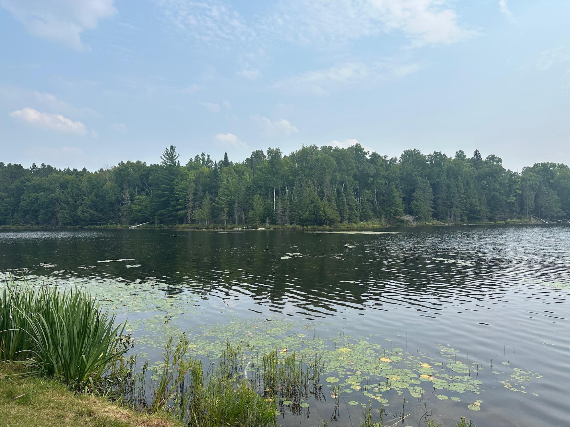 Undocumented Lake Property 8380 Harris Lake Rd E Photo 46