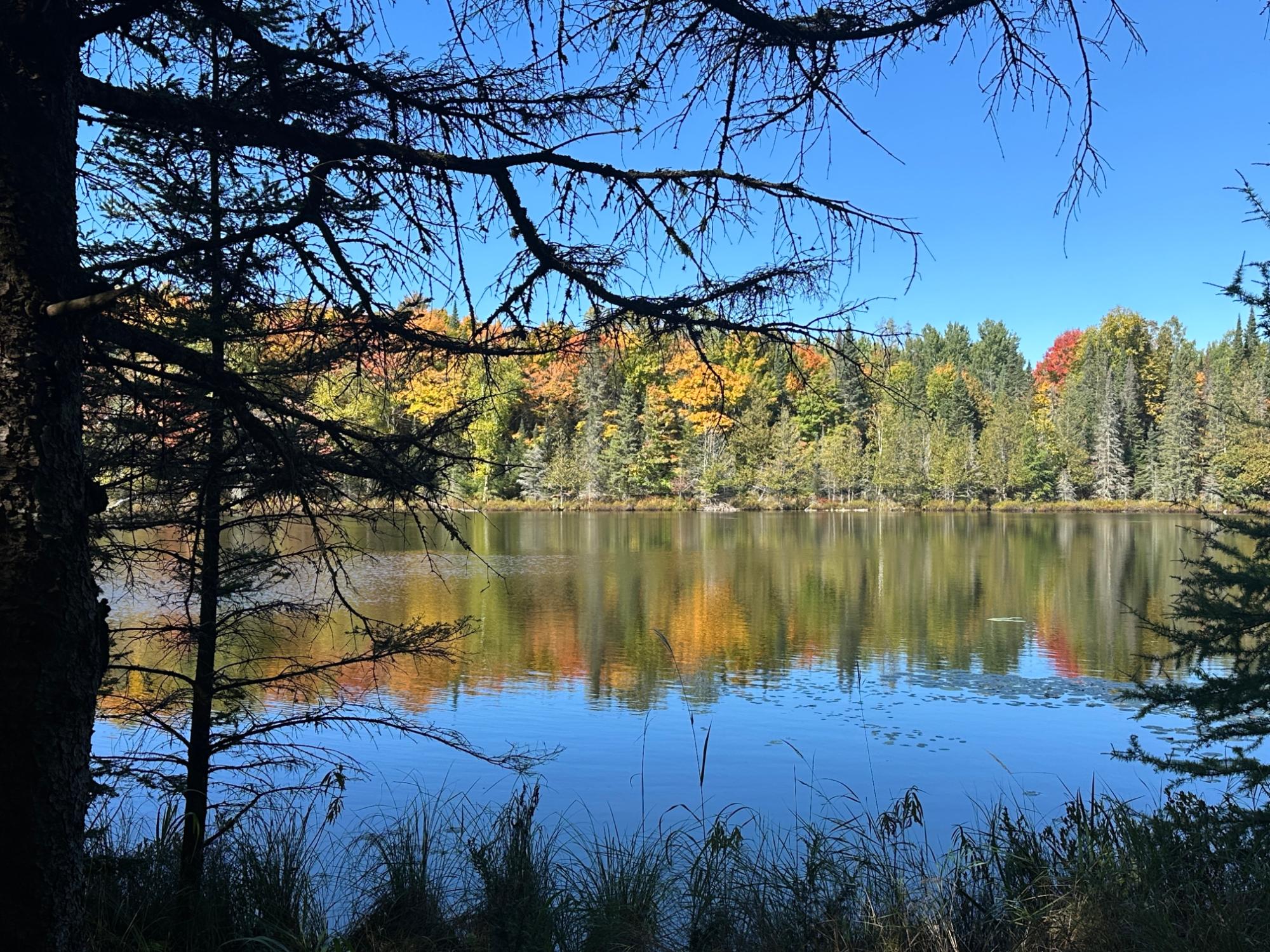 Undocumented Lake Property 8380 Harris Lake Rd E Photo 48