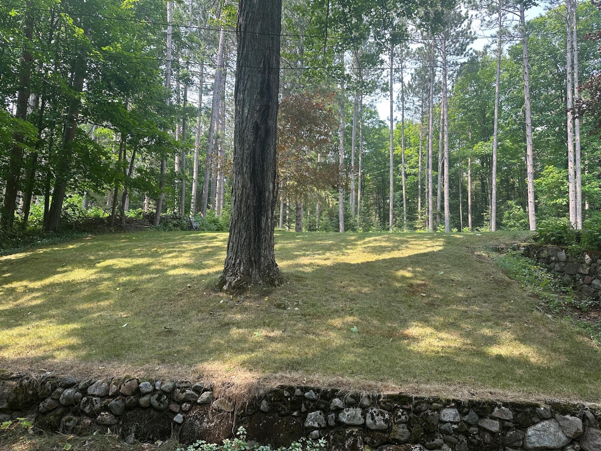 Undocumented Lake Property 8380 Harris Lake Rd E Photo 49