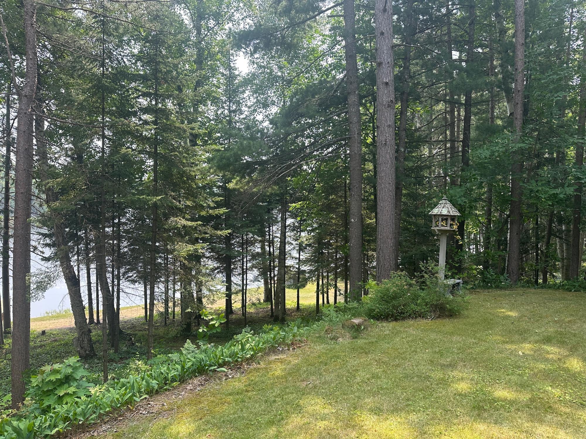 Undocumented Lake Property 8380 Harris Lake Rd E Photo 52