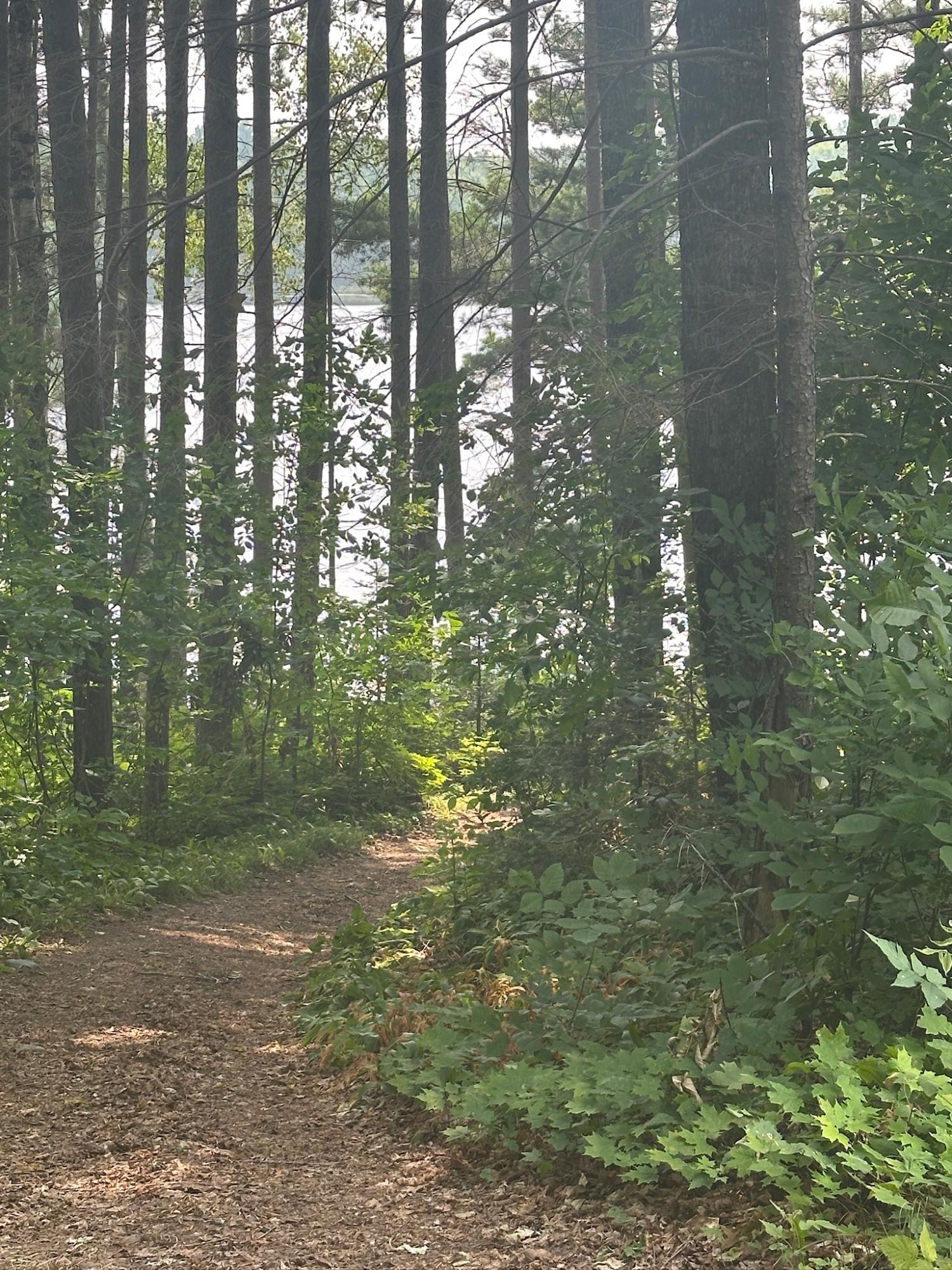 Undocumented Lake Property 8380 Harris Lake Rd E Photo 57