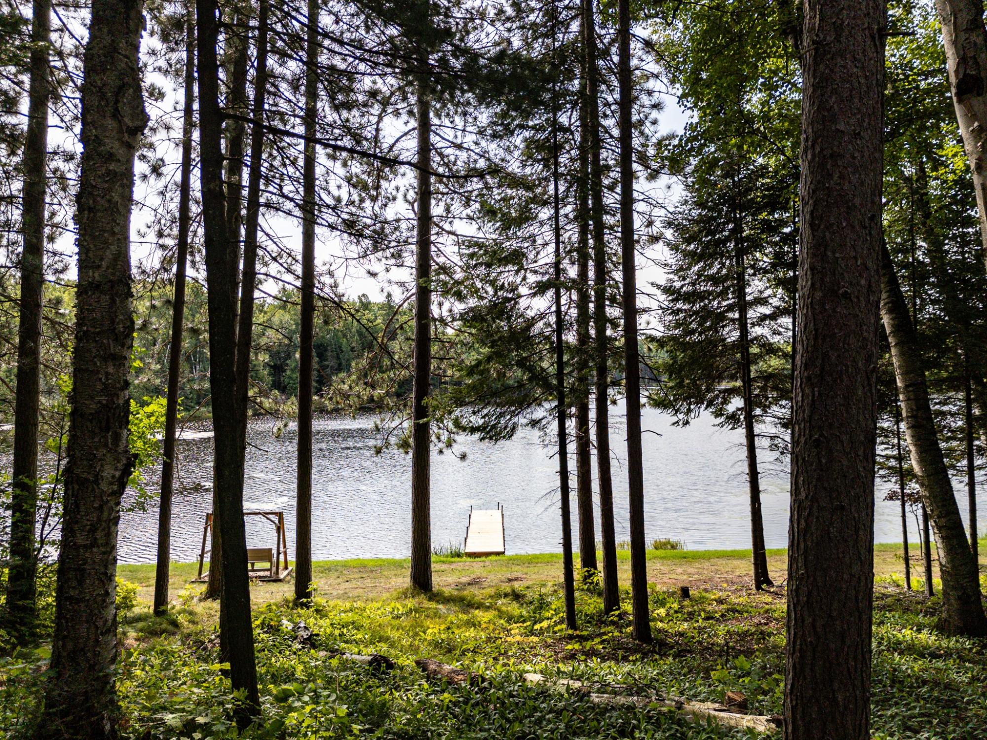 Undocumented Lake Property 8380 Harris Lake Rd E Photo 65