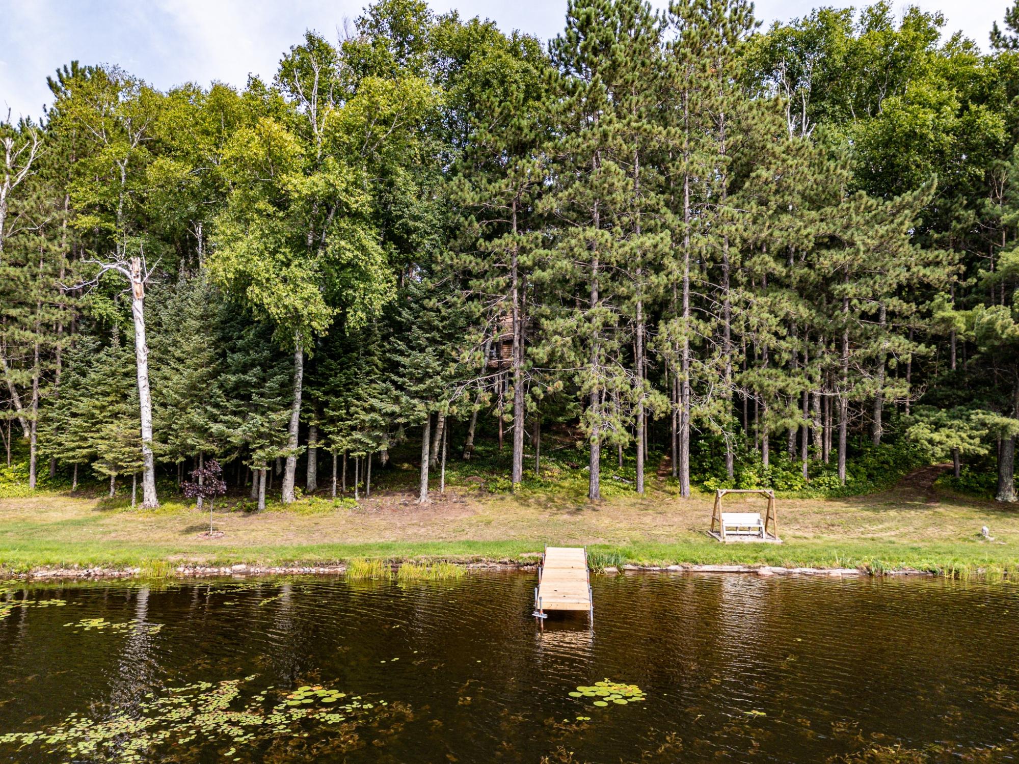 Undocumented Lake Property 8380 Harris Lake Rd E Photo 67