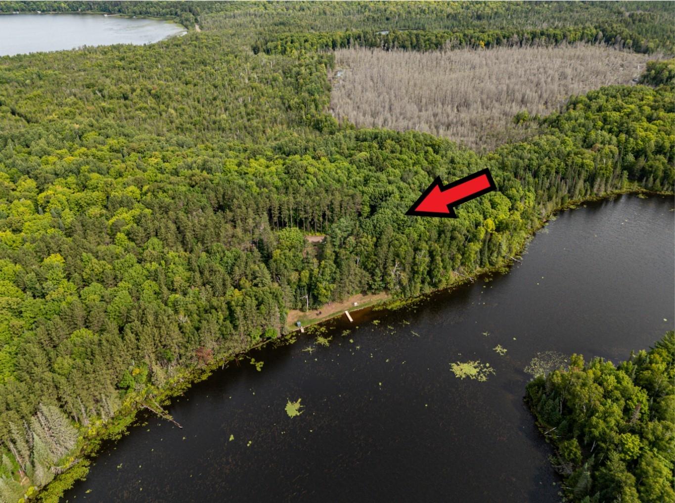 Undocumented Lake Property 8380 Harris Lake Rd E Photo 69