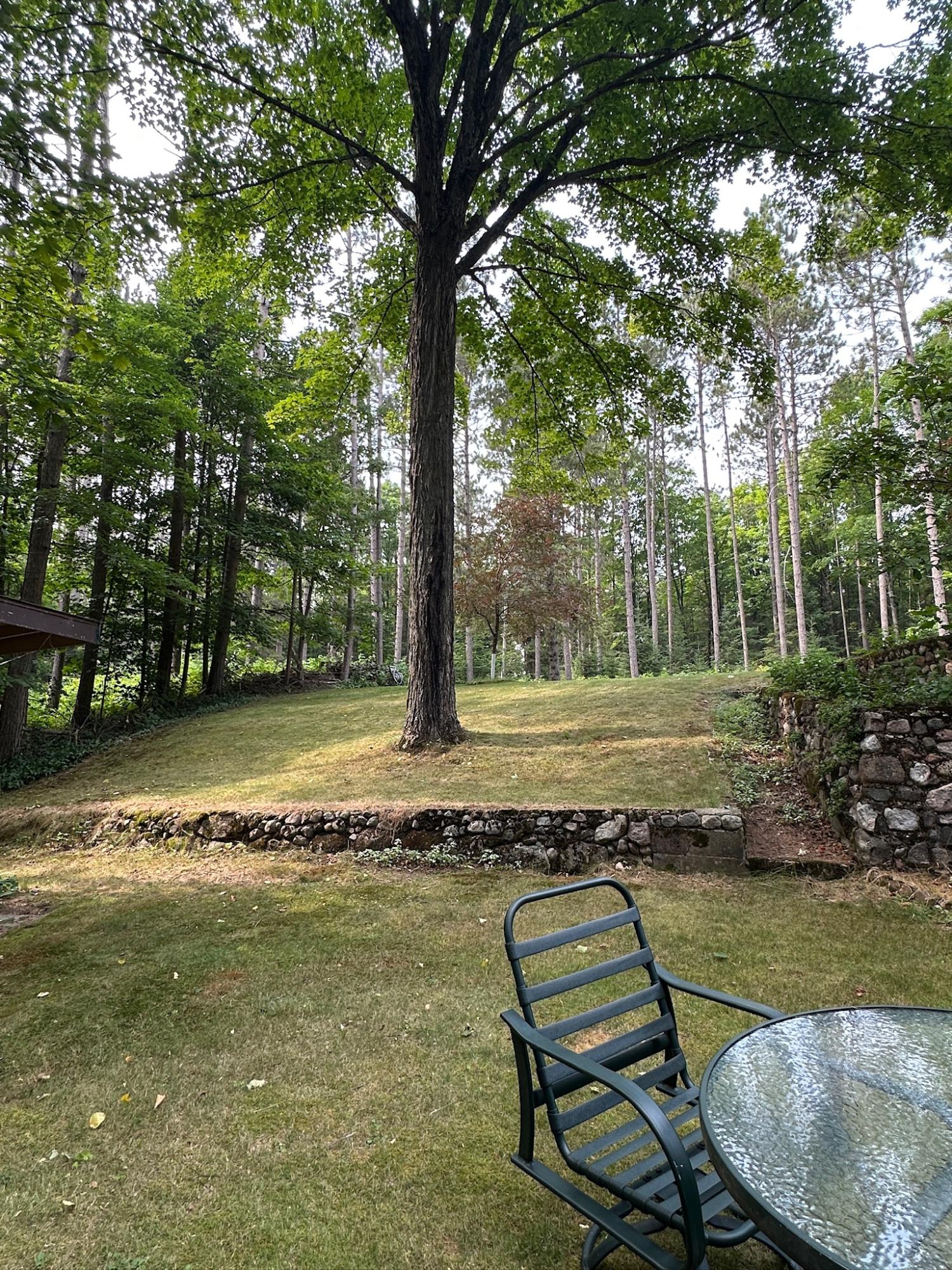 Undocumented Lake Property 8380 Harris Lake Rd E Photo 7