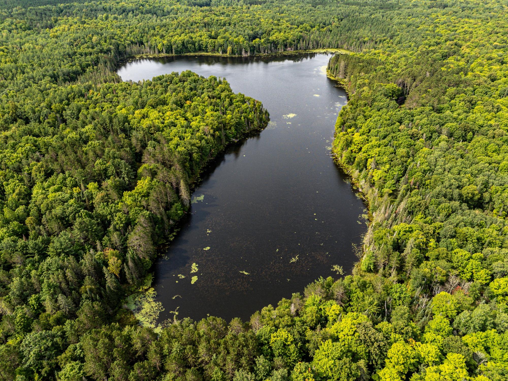 Undocumented Lake Property 8380 Harris Lake Rd E Photo 70