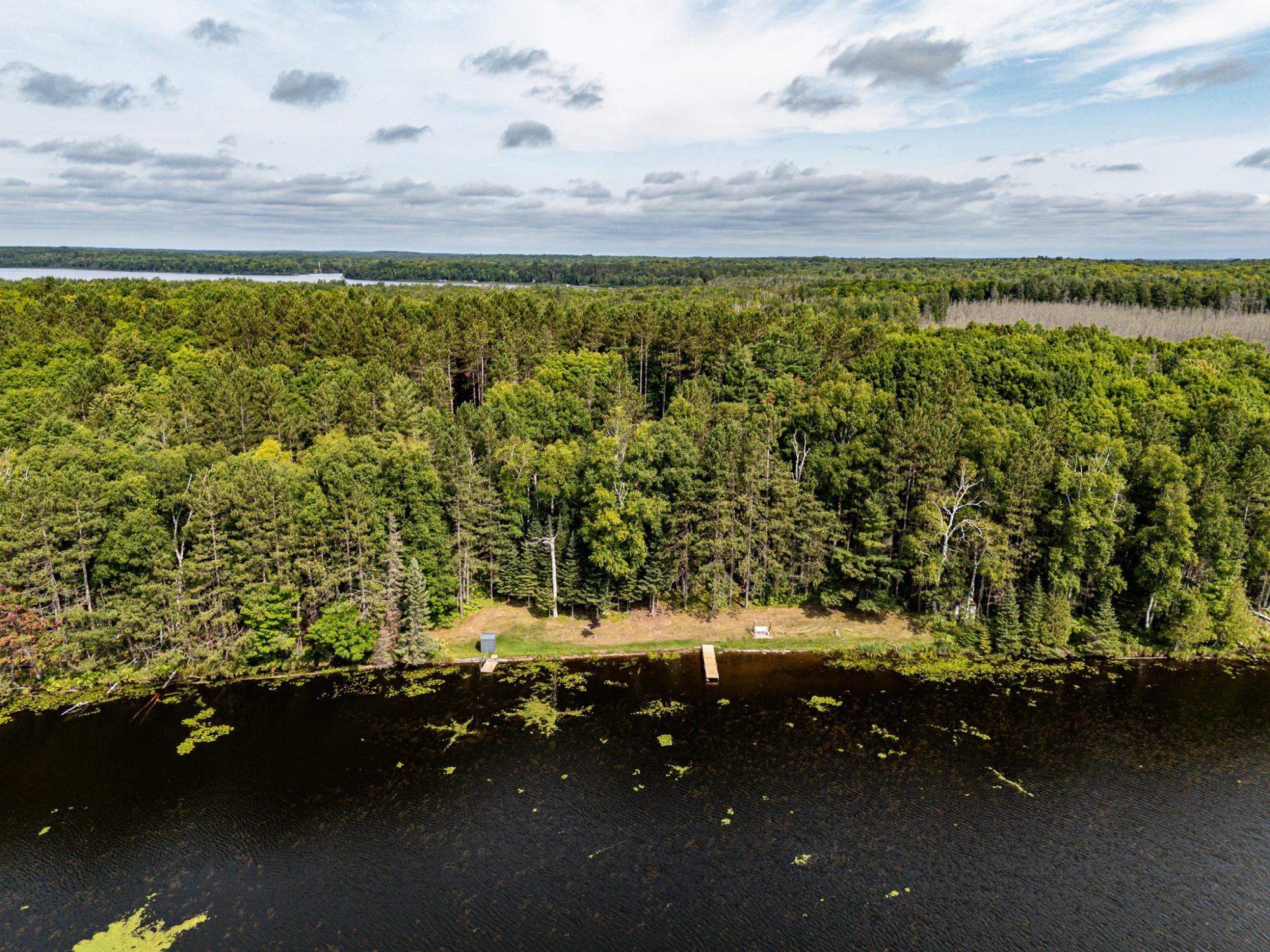 Undocumented Lake Property 8380 Harris Lake Rd E Photo 73