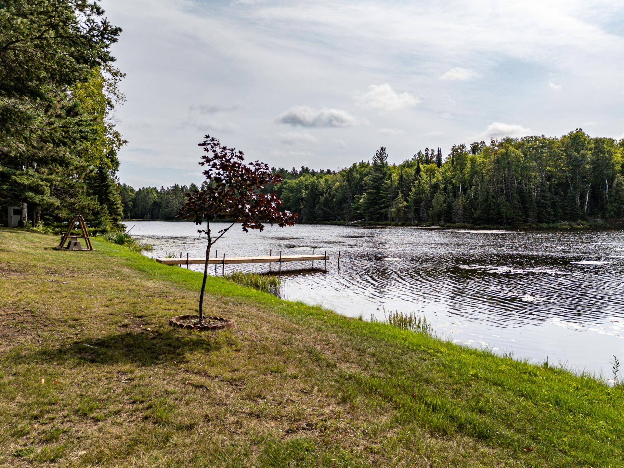 Undocumented Lake Property 8380 Harris Lake Rd E Photo 77