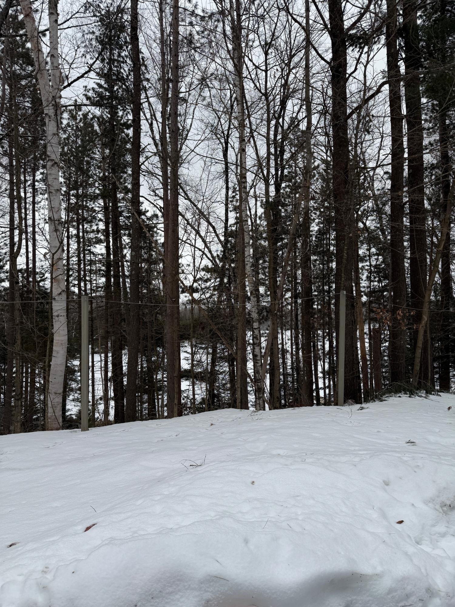 Undocumented Lake Property 8380 Harris Lake Rd E Photo 81