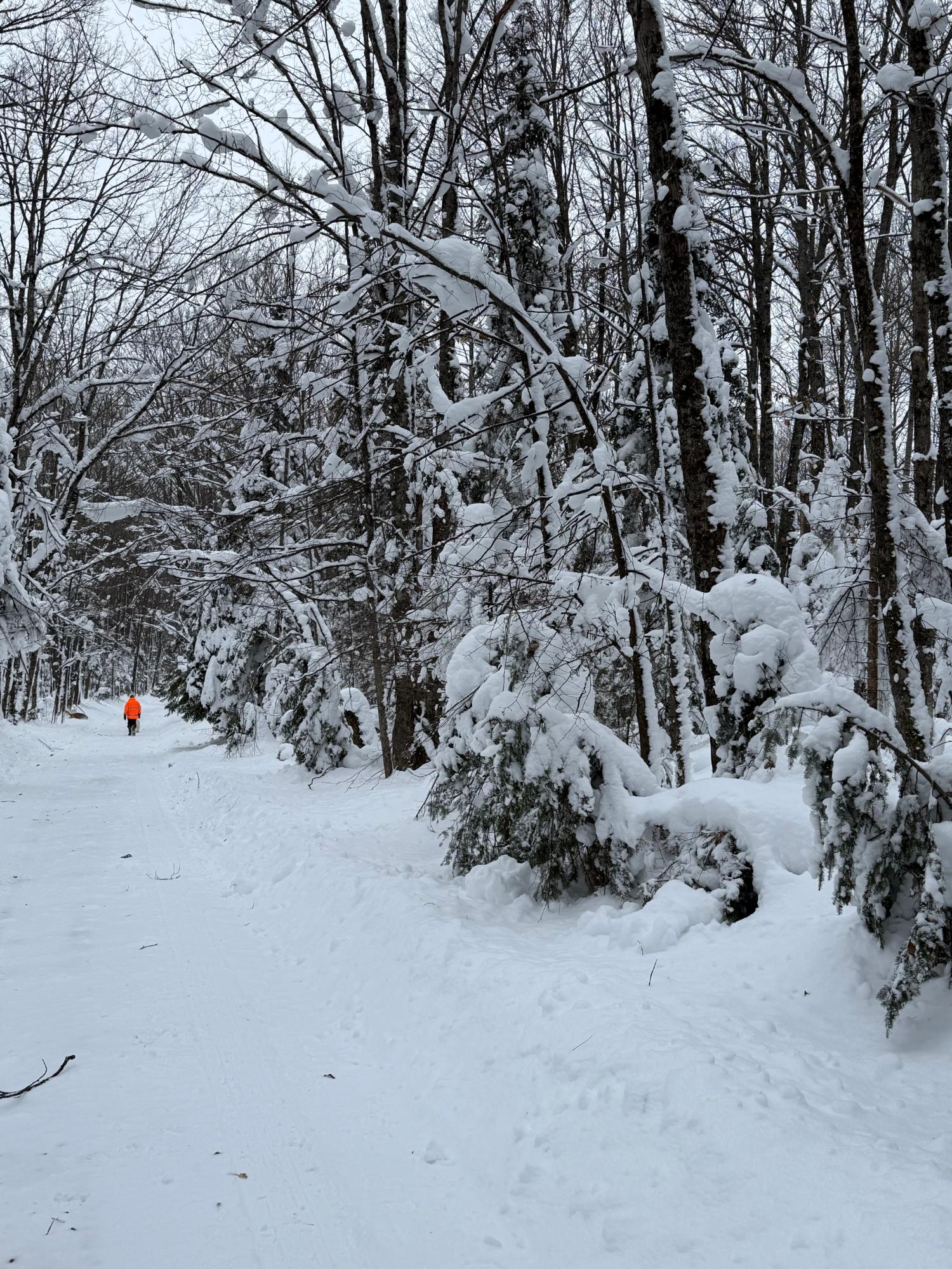 Undocumented Lake Property 8380 Harris Lake Rd E Photo 83