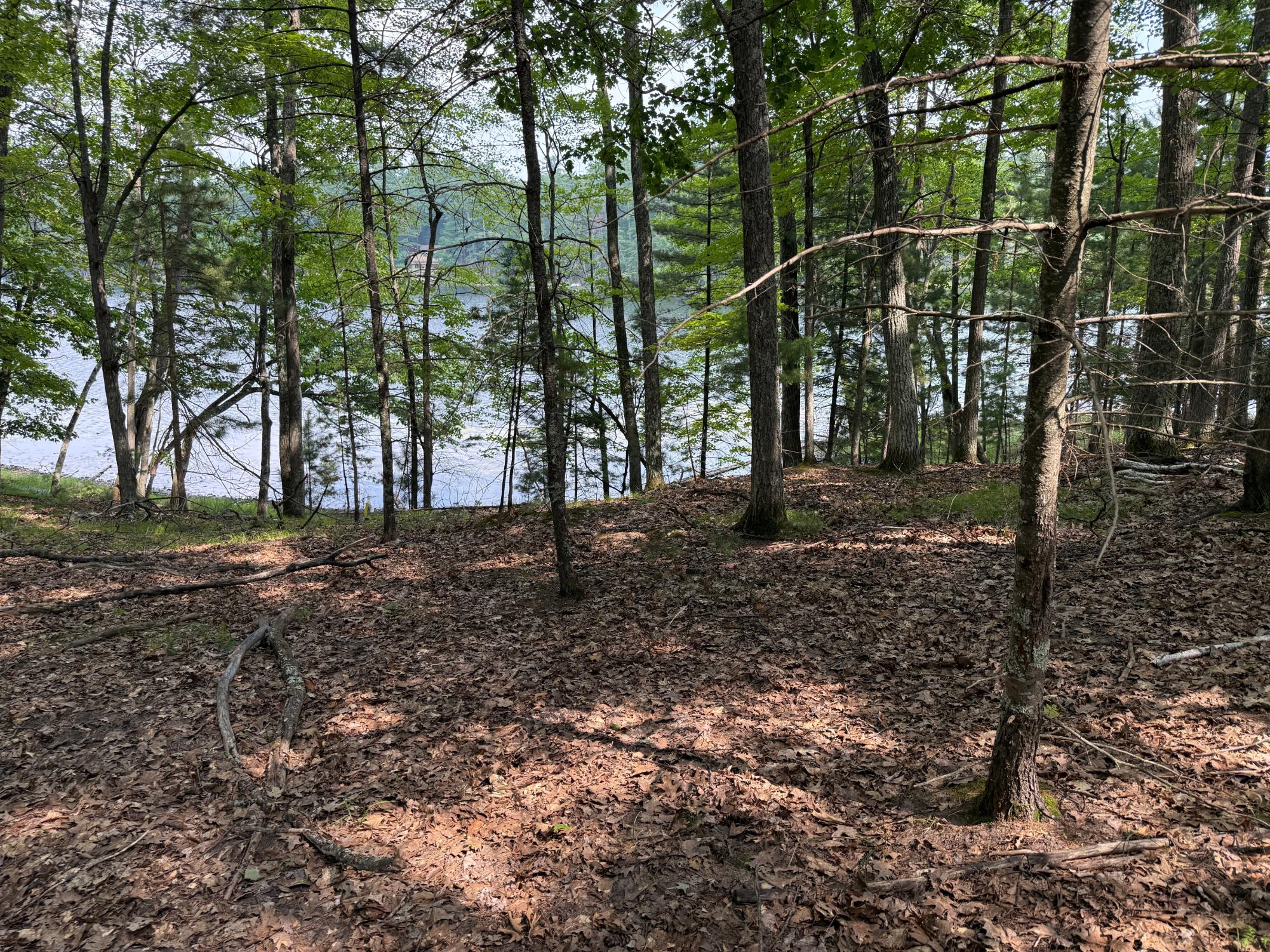 Alma Lake lot picture