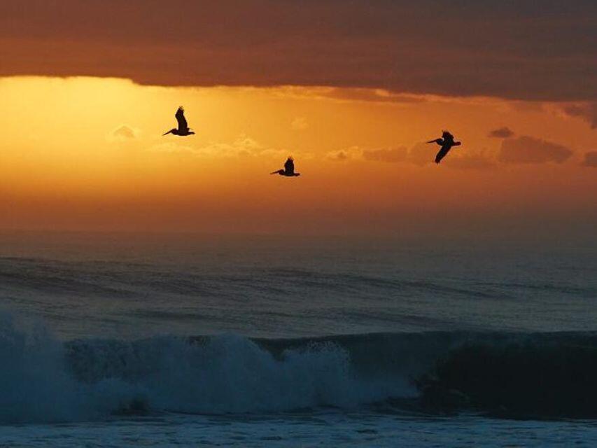 Homes for sale in Boynton Beach, FL | 340 Horizons W #203, Boynton Beach, FL 33435 | MLS# R11113590