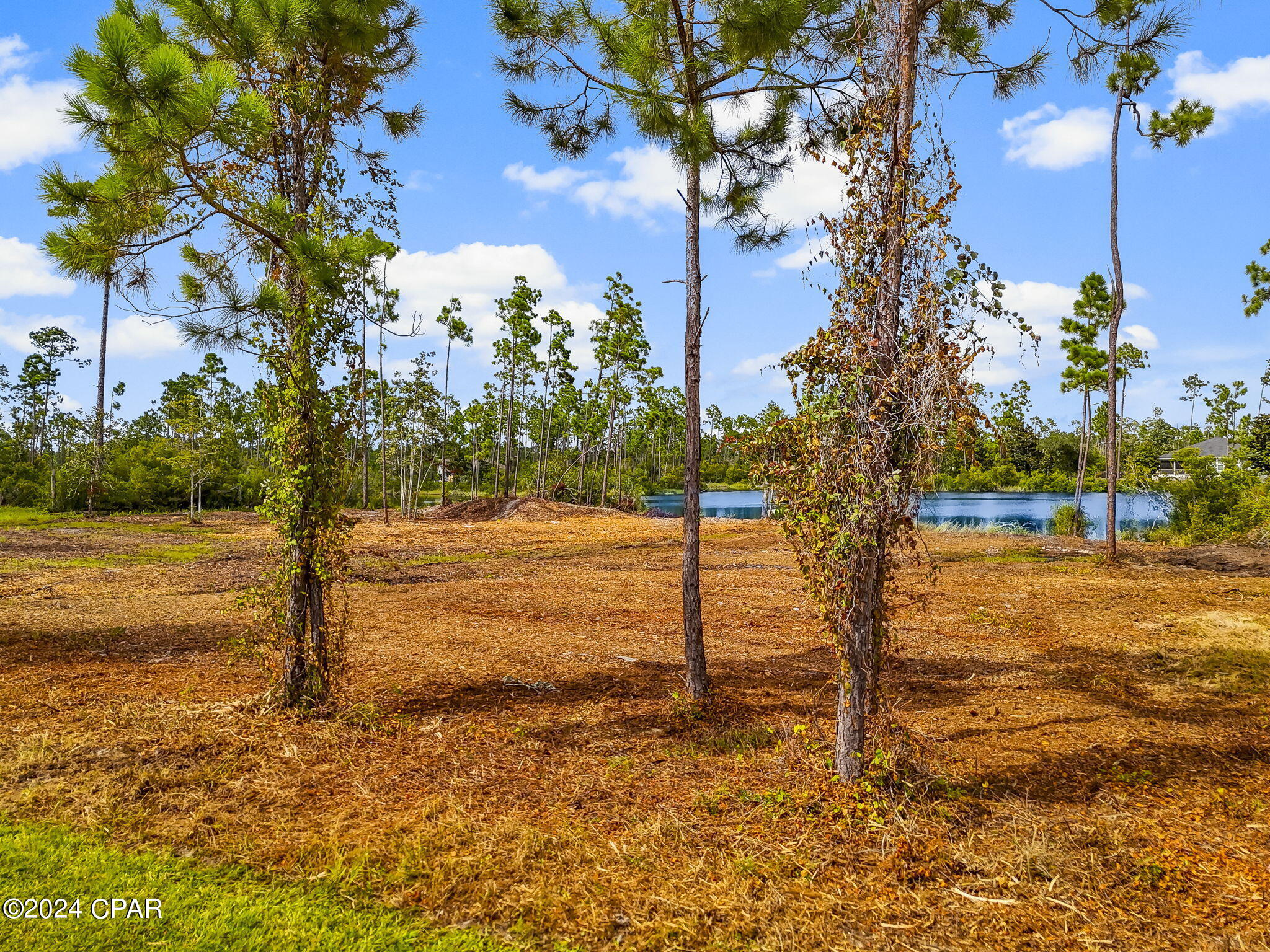 Image 2 For 911 Tidewater Lane