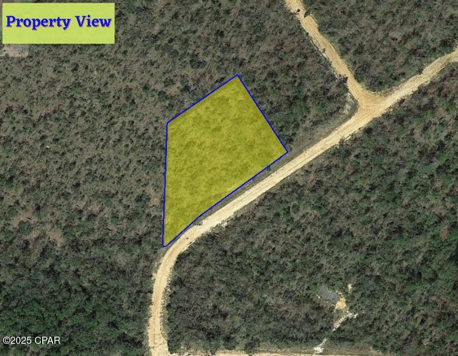 Image 1 For L35 B239 Olivia Drive 6