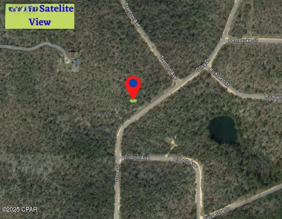 Image 8 For L35 B239 Olivia Drive 6