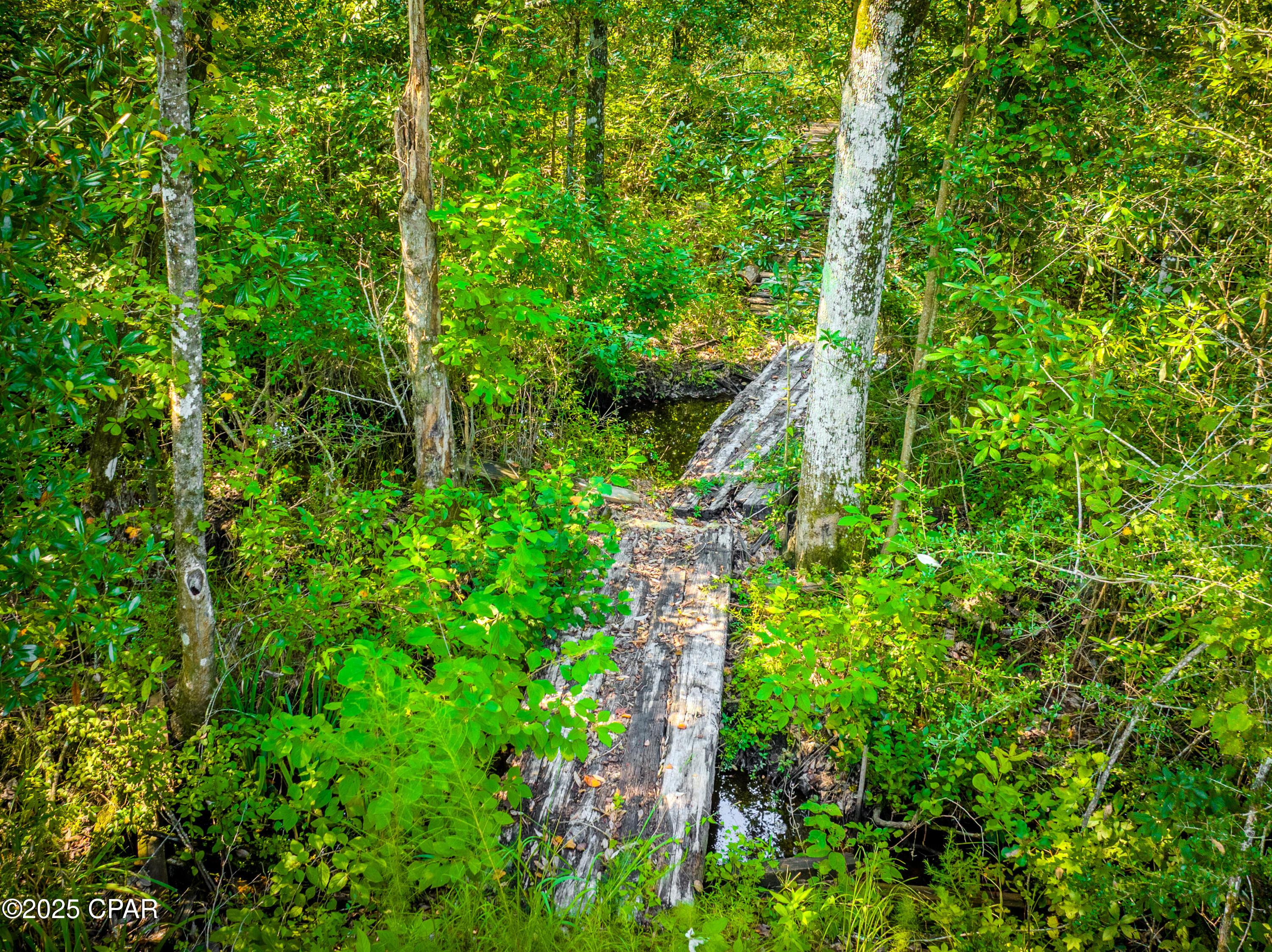 Image 5 For 0 Bartlett Road