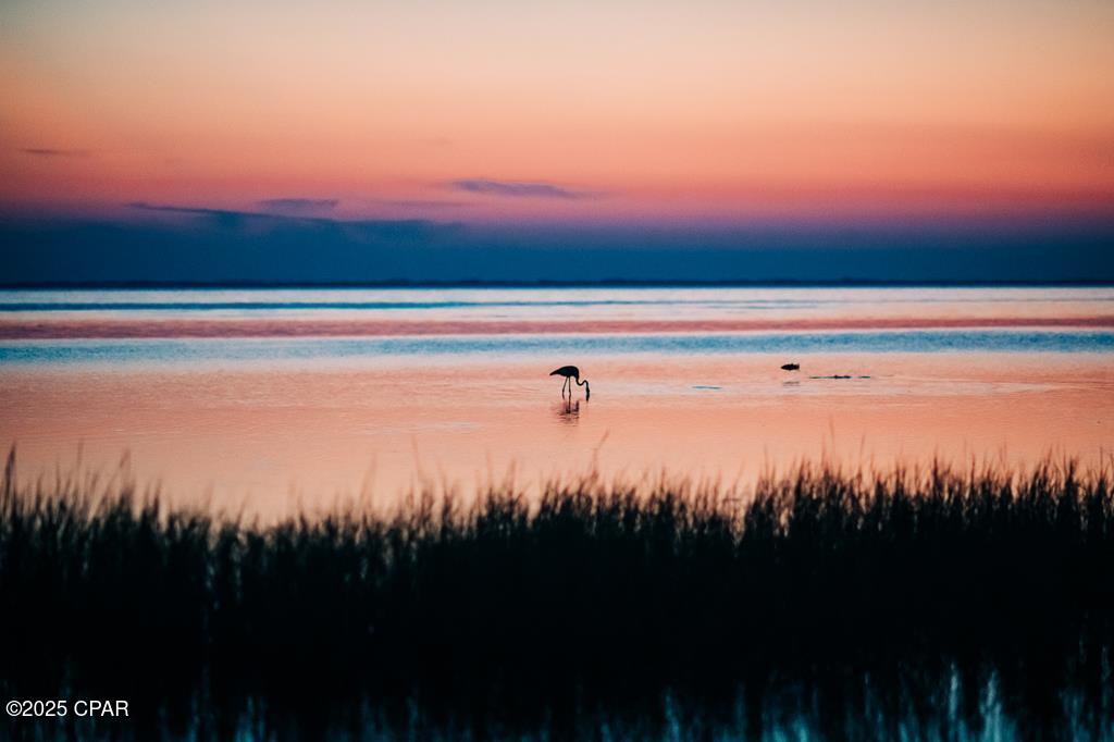 Image 8 For 461 Angel Fish Street